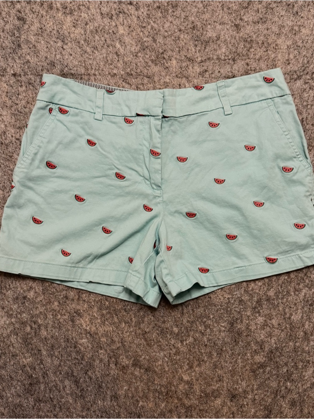 Cambridge Dry Goods Mint Blue  Watermelon Embroidered Shorts Summer Beach Party